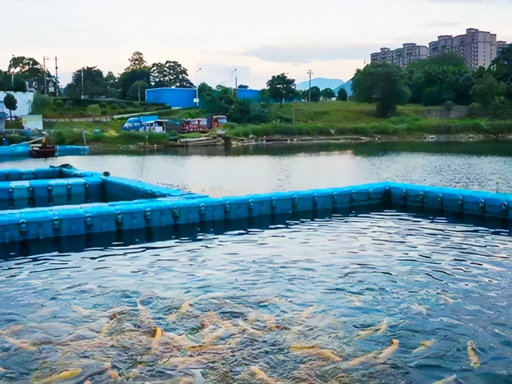 Aquaculture